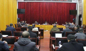 江西宜丰县政府-会议中控矩阵扩声系统